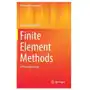 Finite element methods Springer international publishing ag Sklep on-line