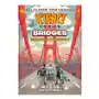 Science comics: bridges: engineering masterpieces First second Sklep on-line