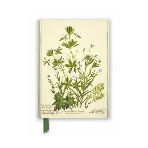 Rbge: charlotte cowan pearson: stitchworts, woodruff and pepperwort (foiled journal) Flame tree publishing