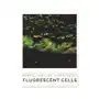 Fluorescent cells. confocal microscope images album Sklep on-line