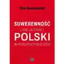 Fnce Polski suwerenność i racja stanu w perspektywie 2030 raport Sklep on-line