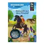 Die drei!!!, Bücherhelden 2. Klasse, Diebstahl auf dem Ponyhof Sklep on-line