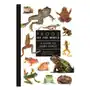 Frogs of the World – A Guide to Every Family Sklep on-line
