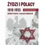Fronda Żydzi i polacy 1918-1955 współistnienie zagłada Sklep on-line