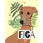 Fronton Figa Sklep on-line