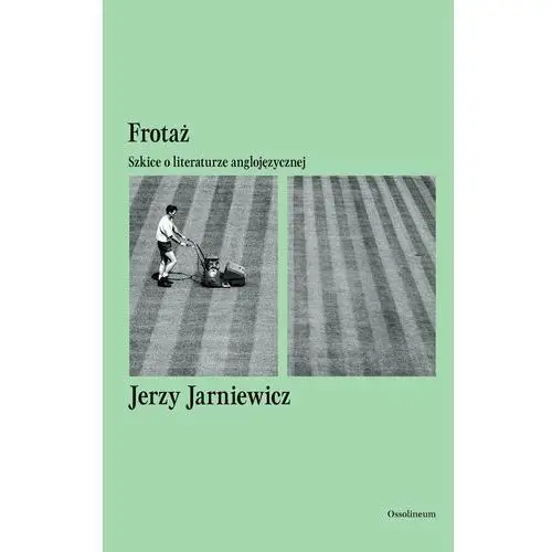 Frotaż. Szkice o literaturze anglojęzycznej