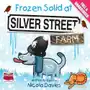 Frozen Solid at Silver Street Farm Sklep on-line