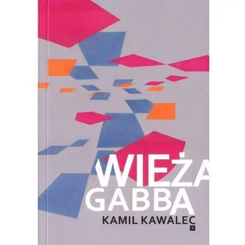 Wieża gabba Fundacja duży format