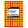 Fundamentals of Collection Development and Management Johnson, Peggy Sklep on-line