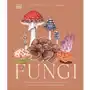 Fungi Sklep on-line
