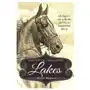 Gaited In The Great Lakes: History of The American Saddlebred in Michigan Sklep on-line