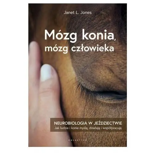 Mózg konia, mózg człowieka. neurobiologia w jeździectwie Galaktyka