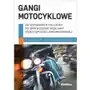 Gangi motocyklowe. Od wydarzeń w Hollister po... Pływaczewski Wiesław Sklep on-line