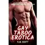 Gay Taboo Erotica - 14 Gay MM Short Stories Sklep on-line