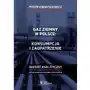 GAZ ZIEMNY W POLSCE: KONSUMPCJA I ZAOPATRZENIE polityka gospodarcza-ekonomia-bezpieczeństwo Sklep on-line