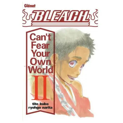 Glenat Bleach roman - can't fear your own world t02