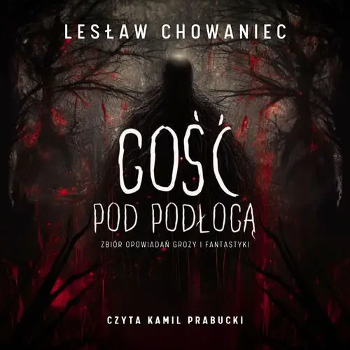 Gość pod podłogą - audiobook