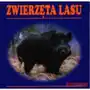 Zwierzęta lasu harmonijka G&p oficyna wydawnicza Sklep on-line