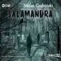 Grabiński stefan Salamandra audiobook Sklep on-line