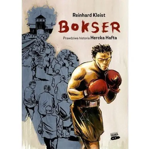 Bokser