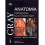 Gray Anatomia. Podręcznik dla studentów. Tom 3 Sklep on-line