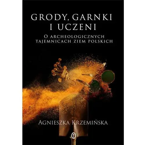 Grody, garnki i uczeni. O archeologicznych tajemnicach ziem polskich