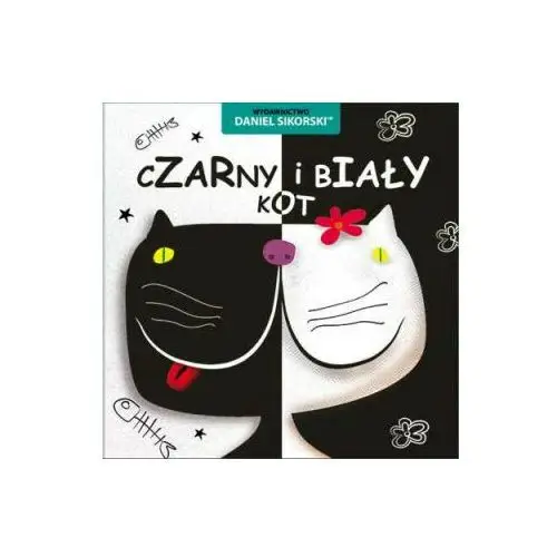 Grupa creative Czarny i biały kot