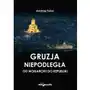 Gruzja niepodległa. Od monarchii do republiki Sklep on-line