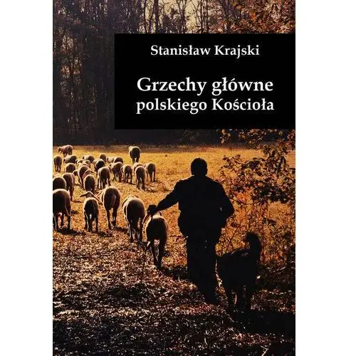 Grzechy główne polskiego Kościoła