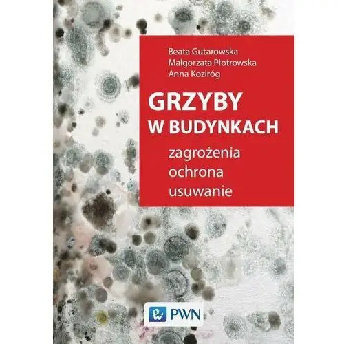 Grzyby w budynkach. Zagrożenia, ochrona, usuwanie