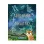 Cat's guide to the night sky Hachette book group Sklep on-line