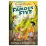 Famous Five: Five Have A Wonderful Time Sklep on-line