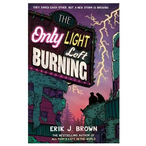Hachette children's book Only light left burning