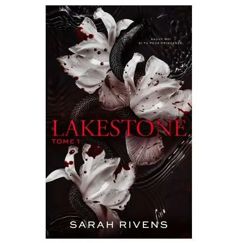 Hachette hlab Lakestone - tome 1