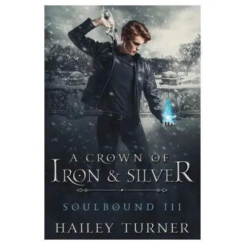 Hailey turner A crown of iron & silver