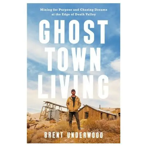 Ghost town living: mining for purpose and chasing dreams at the edge of death valley Harmony book