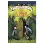 Harper collins publishers Incorrigible children of ashton place: book ii Sklep on-line