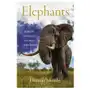 Elephants: birth, life, and death in the world of the giants Harpercollins Sklep on-line