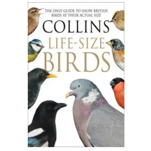 Collins life-size birds Harpercollins publishers