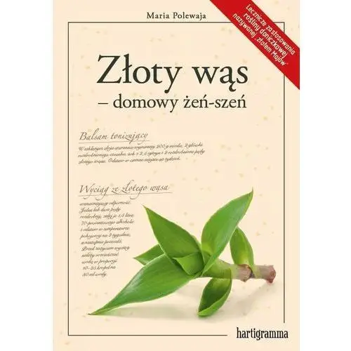 Złoty wąs - domowy żeń-szeń