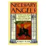 Harvard university press Necessary angels Sklep on-line