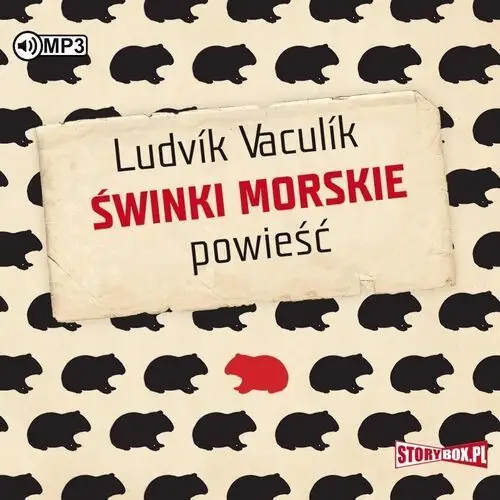 świnki morskie