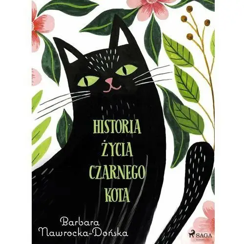 Historia życia czarnego kota