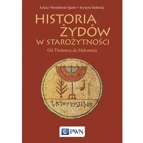 Historia Żydów w starożytności Niesiołowski-Spano Łukasz, Stebnicka Krystyn