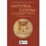 Historia Żydów w starożytności Niesiołowski-Spano Łukasz, Stebnicka Krystyn Sklep on-line