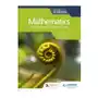 Mathematics for the ib diploma. analysis and approaches hl Hodder education Sklep on-line