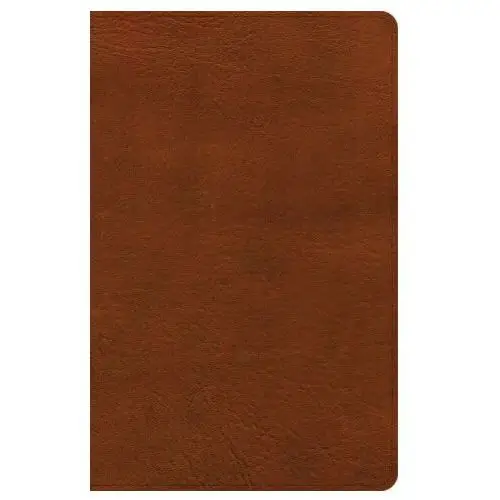 Nasb large print personal size reference bible, burnt sienna leathertouch Holman bibles