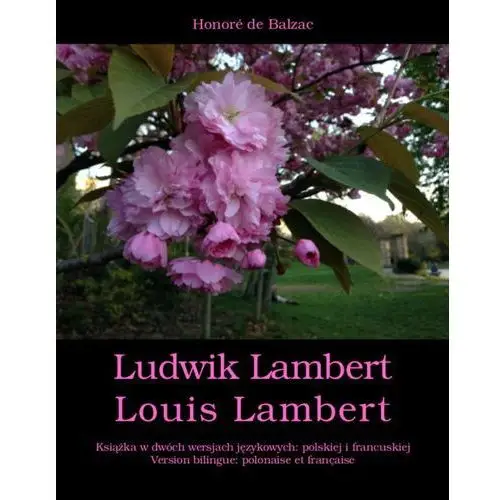 Honoré de balzac Ludwik lambert. louis lambert