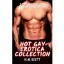 Hot Gay Erotica Collection Sklep on-line