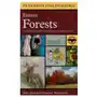 Houghton mifflin harcourt Field guide to eastern forests, north america Sklep on-line